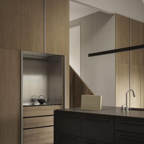 Bang & Olufsen Beosound Level - Portable WiFi Speaker