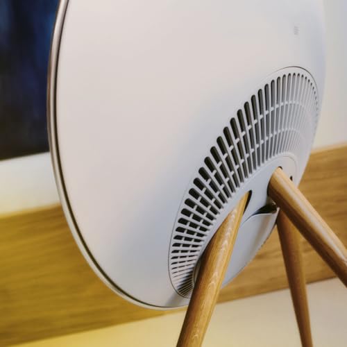 Bang & Olufsen Beosound A9 5th Gen Speaker