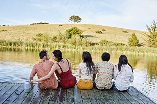 Bose Portable Smart Speaker with Alexa, Silver