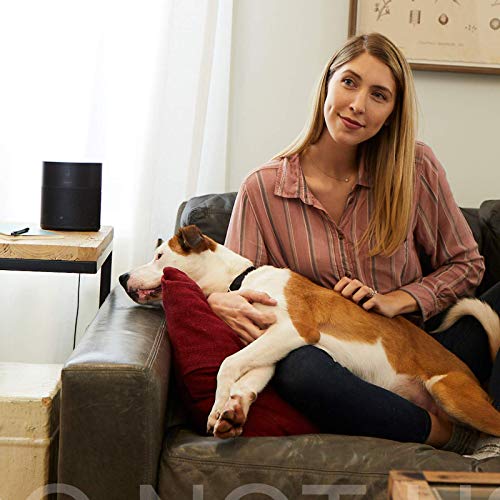 Bose Home Speaker 300 with Alexa – Black