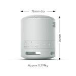 Sony SRS-XB100 Portable Waterproof Bluetooth Speaker