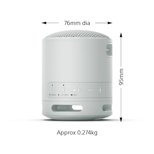 Sony SRS-XB100 Portable Waterproof Bluetooth Speaker