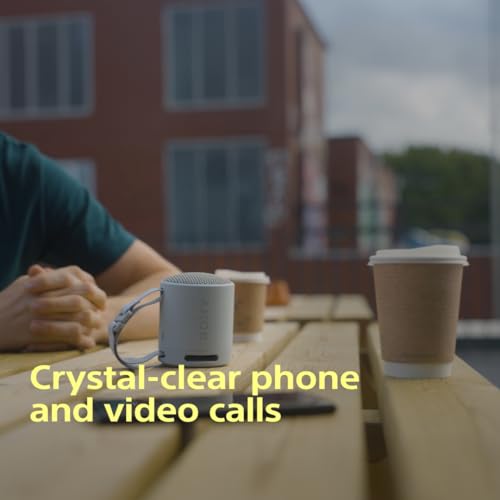 Sony SRS-XB100 Portable Waterproof Bluetooth Speaker