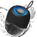 Oraolo 15W Portable Bluetooth Speaker with RGB Lights