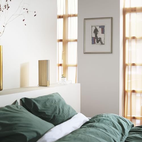 Bang & Olufsen Beosound Emerge Compact Bookshelf Speaker