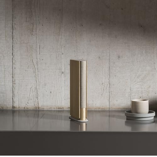 Bang & Olufsen Beosound Emerge Compact Bookshelf Speaker