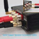 WOWLED HiFi 13 AWG Speaker Wire with Banana Plugs