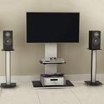 TekBox 2x Speaker Stands - Modern Black Glass