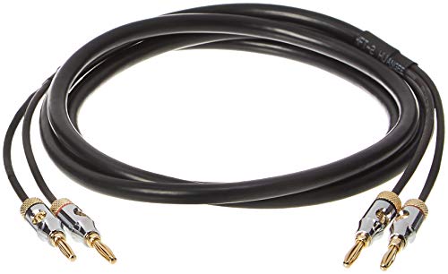 Amazon Basics 16AWG CL2 Speaker Cable, Gold-Plated