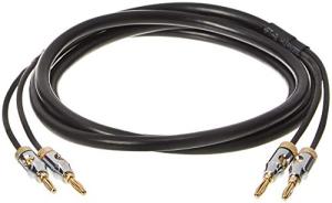 Amazon Basics 16AWG CL2 Speaker Cable, Gold-Plated