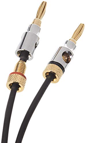 Amazon Basics 16AWG CL2 Speaker Cable, Gold-Plated
