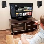 Adjustable Wall Mounts for Large Speakers - Black