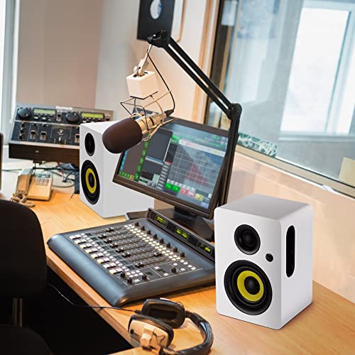 Sanyun SW206 80W Dual-Mode Bookshelf Speakers