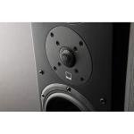 SVS Prime Pinnacle Tower Speakers - Black Ash