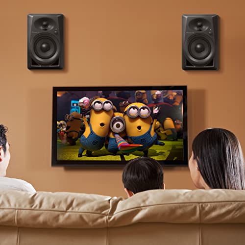 TaoAcc Universal Heavy Duty Speaker Wall Mount