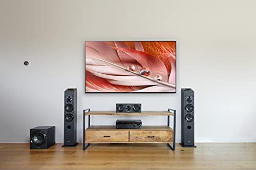 Sony SACS9 10-Inch Active Subwoofer,Black