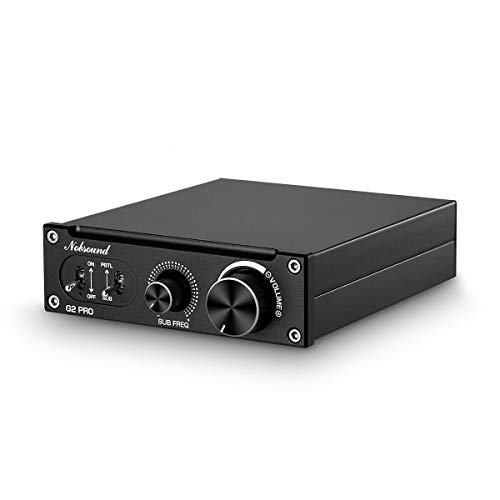 300W Mini Mono Subwoofer Amplifier for Home Speakers