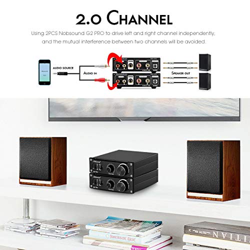 300W Mini Mono Subwoofer Amplifier for Home Speakers