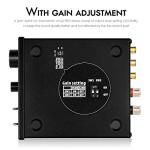 300W Mini Mono Subwoofer Amplifier for Home Speakers