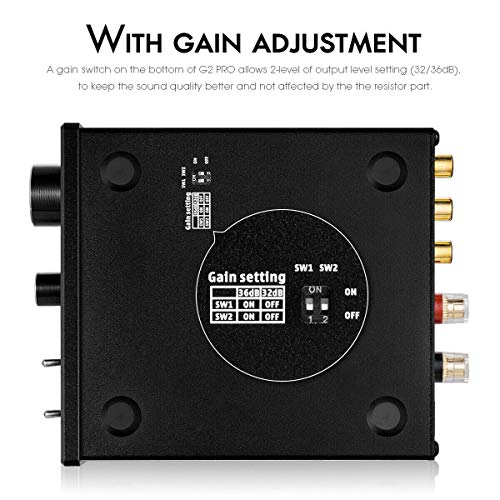 300W Mini Mono Subwoofer Amplifier for Home Speakers