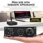 300W Mini Mono Subwoofer Amplifier for Home Speakers