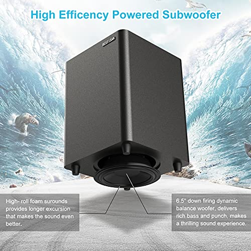 Compact Down-Firing Subwoofer for Home Theater - Black
