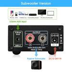 Nobsound 100W Digital Power Amplifier for Speakers