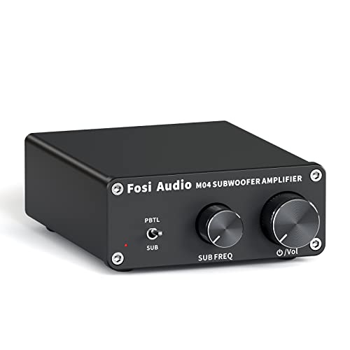 100Watt Mono Channel Class D Amplifier for Speakers