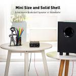 100Watt Mono Channel Class D Amplifier for Speakers