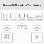 100Watt Mono Channel Class D Amplifier for Speakers