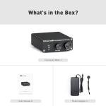 100Watt Mono Channel Class D Amplifier for Speakers