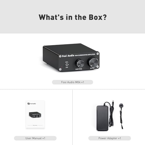 100Watt Mono Channel Class D Amplifier for Speakers