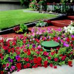 TIC GS50 - 250W 8" Professional Omni Subwoofer