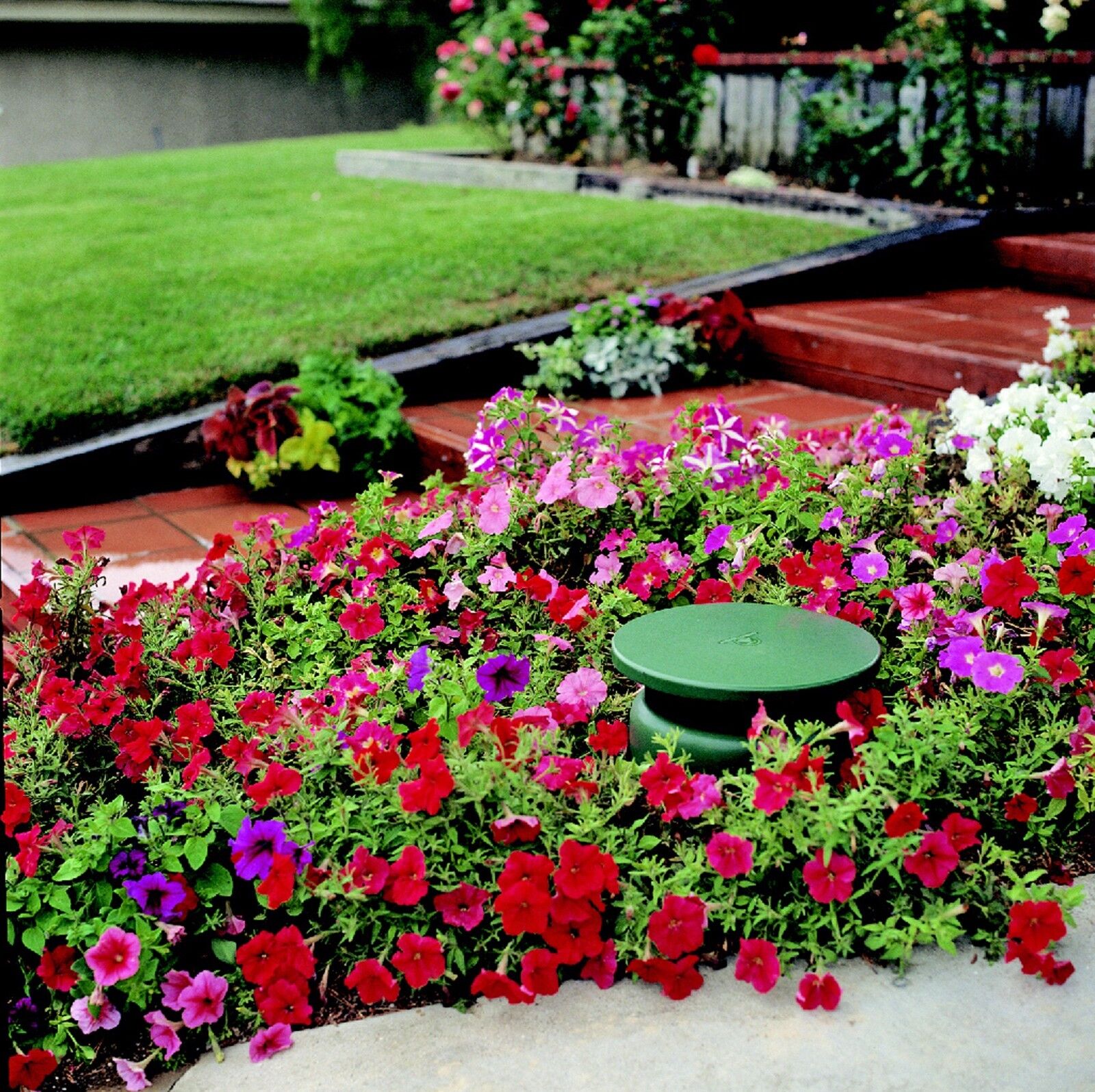 TIC GS50 - 250W 8" Professional Omni Subwoofer