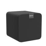 Bestisan 100W Subwoofer - Low Distortion Speaker