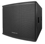 Sound Town CARME Series 18" 1600W PA/DJ Passive Subwoofer (CARME-118SB)