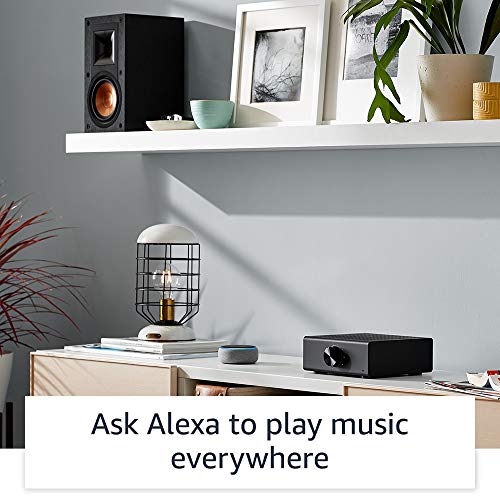 Echo Link Amp - Stream and Amplify Hi-Fi Music