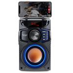 Portable Bluetooth Speaker with Party Light & FM Radio