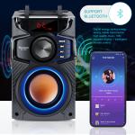 Portable Bluetooth Speaker with Party Light & FM Radio