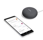 Google Home Mini (Gen. 1) - Charcoal
