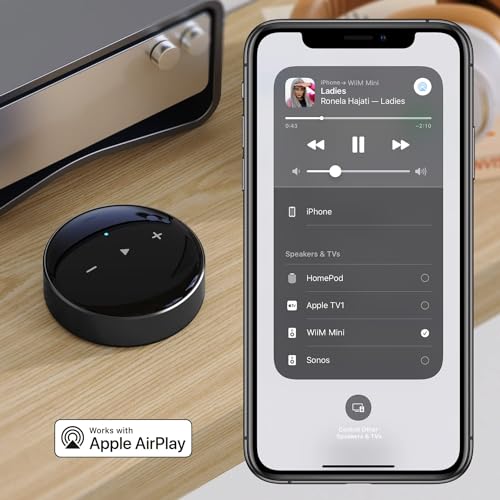 Wireless Multiroom Speaker with Voice Control