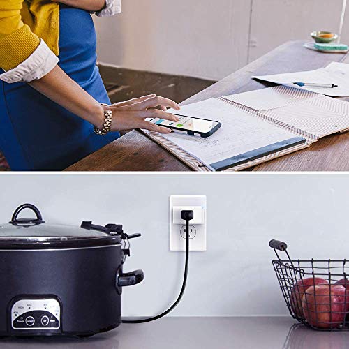 Alexa and Google compatible Smart Plug