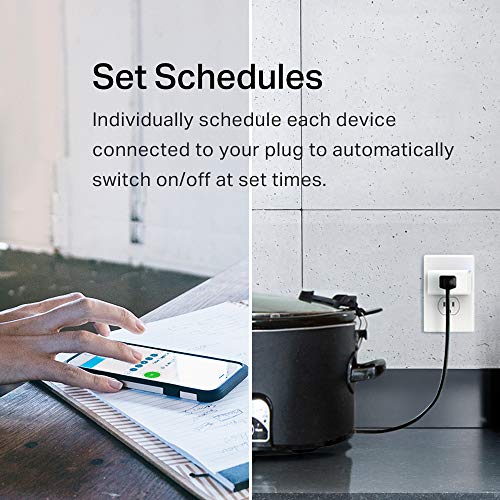 Alexa and Google compatible Smart Plug