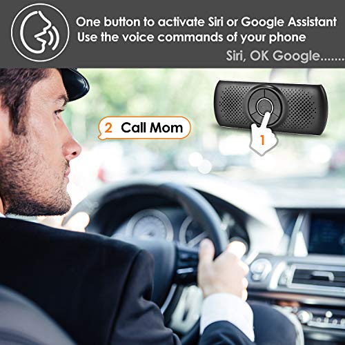 Wireless Car Speaker with Google Assistant