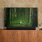 Sonos Arc - Premium Smart Soundbar for Entertainment