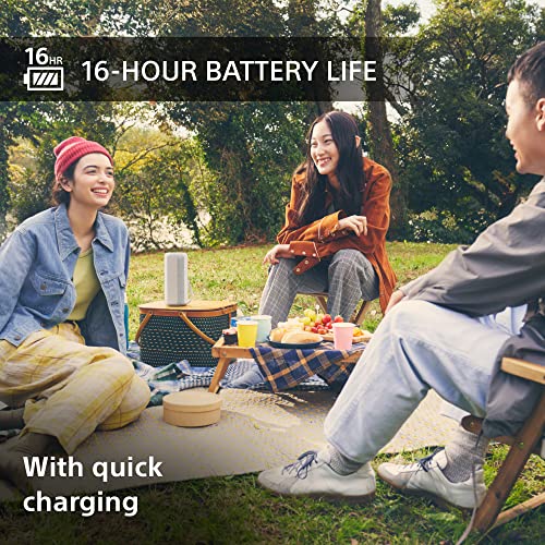 Sony Portable Bluetooth Speaker - Waterproof, Shockproof