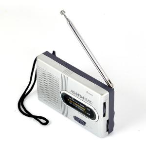 Portable AM/FM Radio Speaker for Outdoors