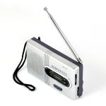Portable AM/FM Radio Speaker for Outdoors