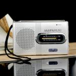Portable AM/FM Radio Speaker for Outdoors