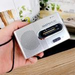 Portable AM/FM Radio Speaker for Outdoors
